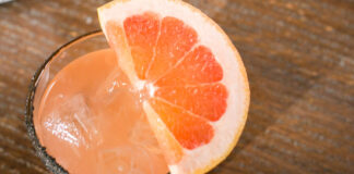 Icelandic Paloma