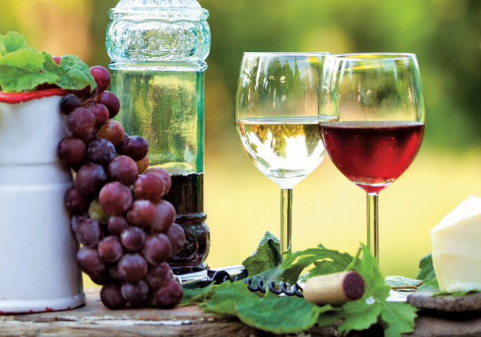 red and white wine in a green garden at sunset