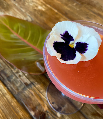 Hibiscus Kiss Cocktail