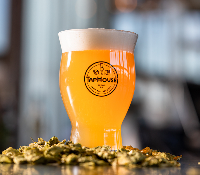 Draft beer at Iron Hill Brewery TapHouse