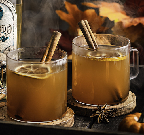 Pumpkin Spice Hot Toddy