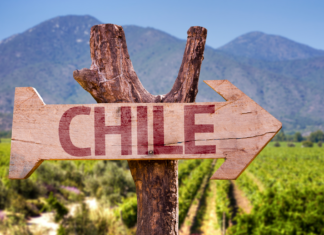 Wine Reviews: South American Wines