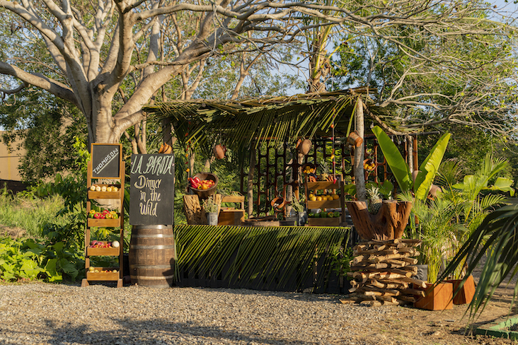 Thompson Zihuatanejo in Mexico’s La Parota, or Dinner in the Wild party setup