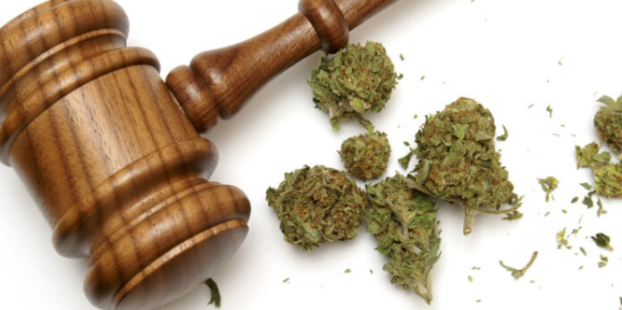 cannabis 2024 cannabis laws.