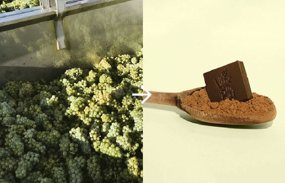 Vine To Bar sustainable chocolate.