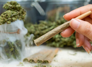 Scaling Pre-Roll Production: How Automation is Reshaping Cannabis Manufacturing pre-roll