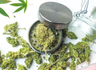 President Trump Considers Rescheduling Cannabis cannabis