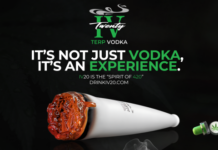 It’s Not Just Vodka, It’s an Experience IV20 featured image
