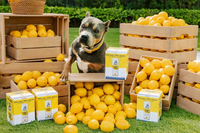 lucky one vodka lemonade canned cocktail rtd miss peaches