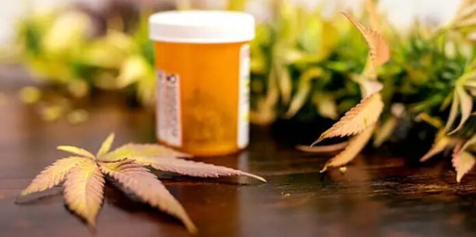 cannabis