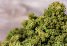 Virginia Lawmakers Pass Bills To Legalize Cannabis Sales