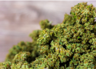 Virginia Lawmakers Pass Bills To Legalize Cannabis Sales