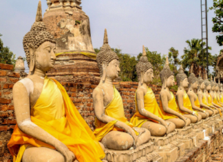 Thailand: The Cannabis Capital of Asia and Beyond thailand