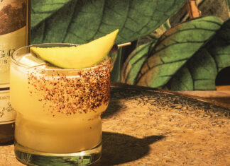 7 Tequila Day Drinks for 2025 Mango Margarita