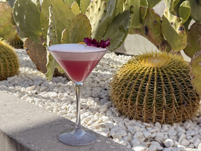 Prickly Pear Sour cocktail