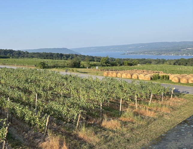 Dr. Konstantin Frank vineyards