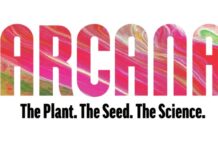 Arcana Collective Launches Arcana Seeds arcana collective
