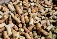 Our Favorite Wines We Drank in 2025 wine reviews best of 2025 beverage dynamics magazine