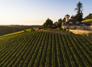 Willamette Valley Vineyards Partners with RNDC and SGWS willamette valley vineyards