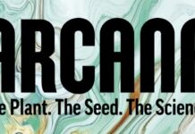 Arcana Collective to Distribute Cannabis Seeds and Slips Online Arcana Collective logo