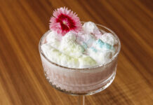 Celebration of Lights Celebration of Lights cocktail