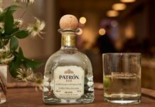 Patrón 100 Patrón 100