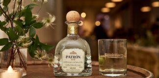 Patrón 100