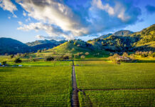 Wine Tourism: California Dreamin’ at Napa and Sonoma wine tourism 2026 napa sonoma valley california wines