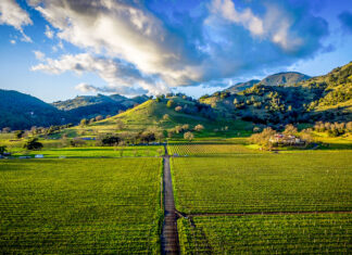 wine tourism 2026 napa sonoma valley california wines
