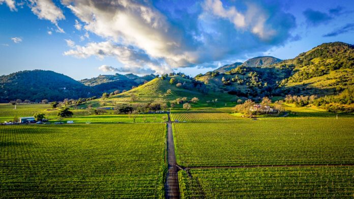 wine tourism 2026 napa sonoma valley california wines