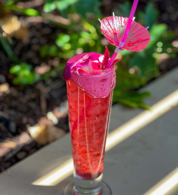 Category 5 cocktail