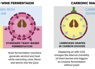 Carbonic maceration