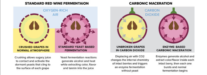 Carbonic maceration