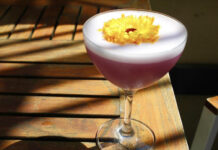 Mirtilli! Mirtilli! blueberry cocktail