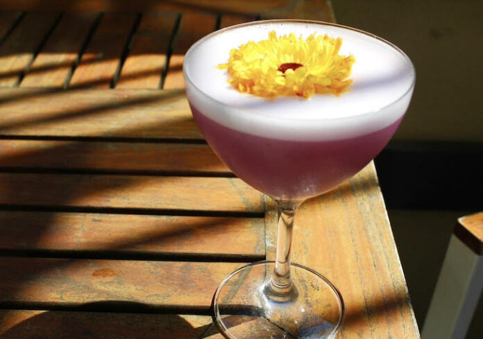 Mirtilli! Mirtilli! blueberry cocktail