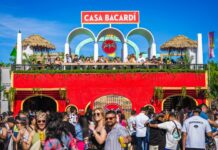bacardi spirits supplier of the year beverage dynamics