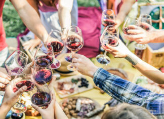Warming Up To Chilled Red Wine Group of friends enjoying picnic while drinking red wine and eating snack appetizer outdoor - Young people cheering and having fun together